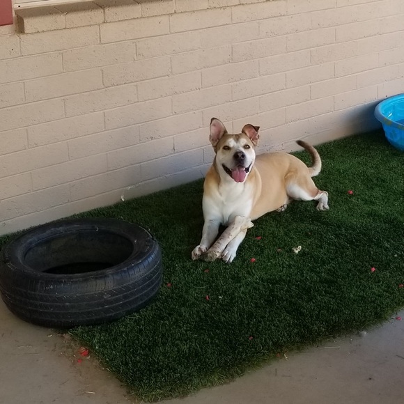 Meet your Posher, Carolee - Picture 8 of 8